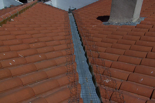 Proponemos Soluciones